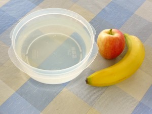 apple-float-science-experiment