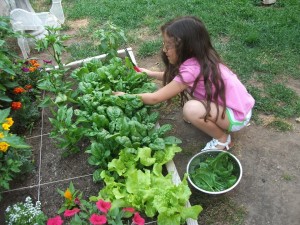 kids' gardening fun and learning