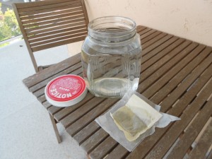 making sun tea for science outside