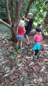 nature play and fairies