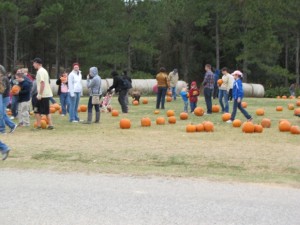 visiting pumpkin patch