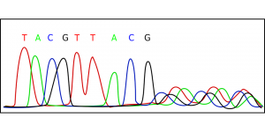 alphabet in our genes