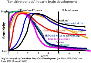 brain development