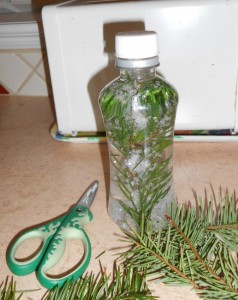 winter-pine-bottle