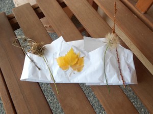 fall nature crown activity
