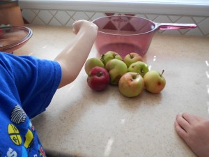 making applesauce