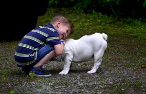 children and compassion for animals