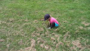 nature play in grass