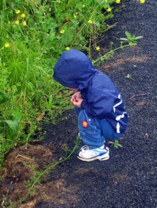 children and nature wonder