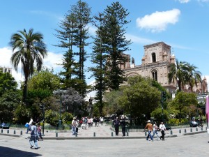 nature in city parks