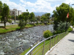 go wild for nature by a river