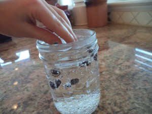 bubble math science activity raisins