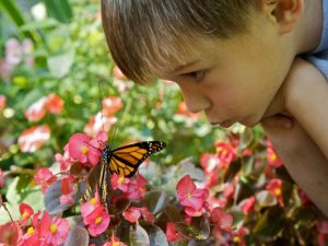 nature treasure hunt