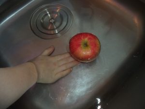 apple science fall fun experiment