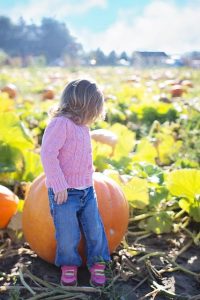 visiting the pumpkin patch