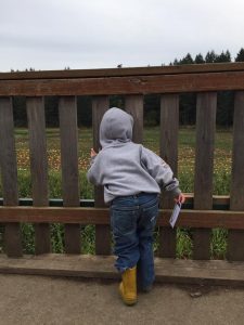 visiting the pumpkin patch