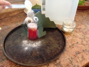 dragon-vinegar-soda-science-experiment