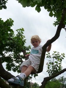 child climbing trees